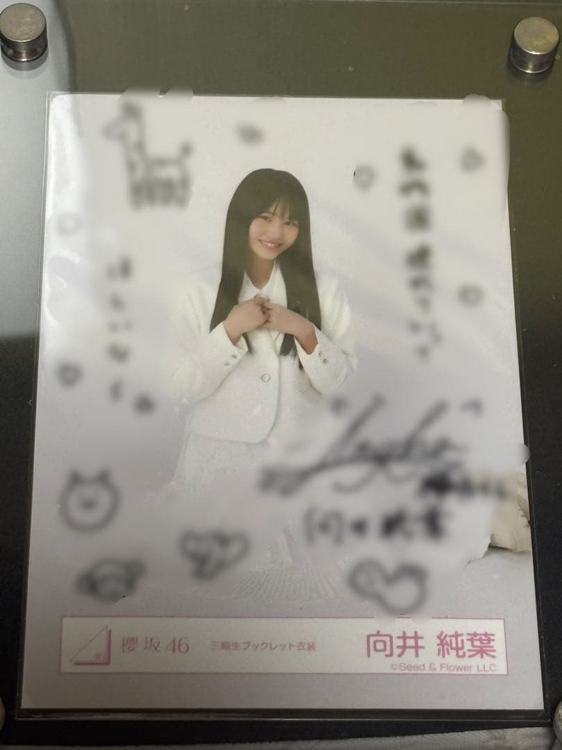 向井純葉　直筆サイン　三期生ブックレット衣装　ヒキ座り