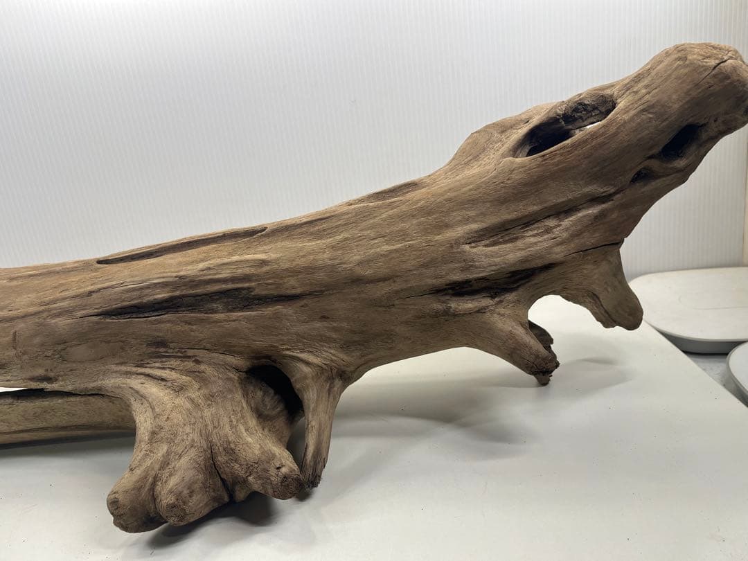 W27特大流木 アク抜き済み流木 爬虫類シェルター 登り木 インテリア 生け花