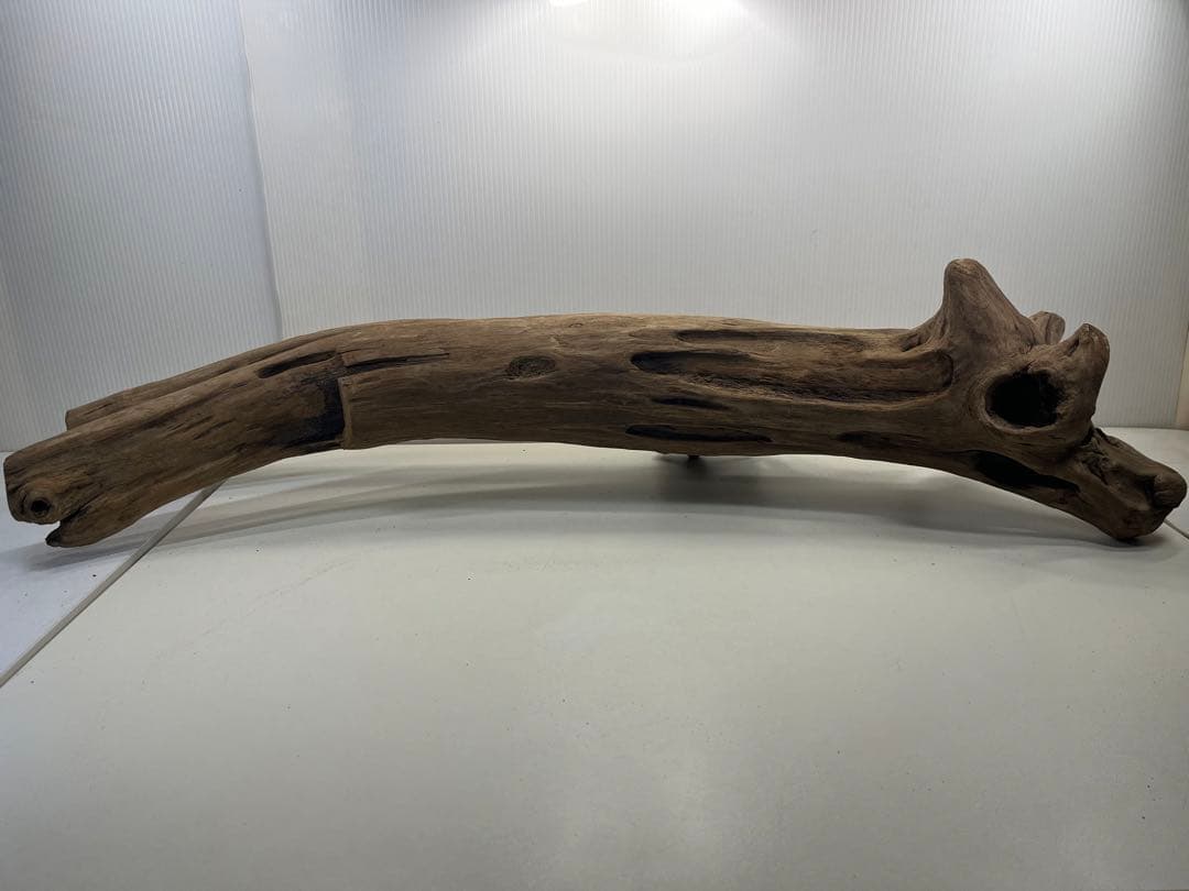 W27特大流木 アク抜き済み流木 爬虫類シェルター 登り木 インテリア 生け花