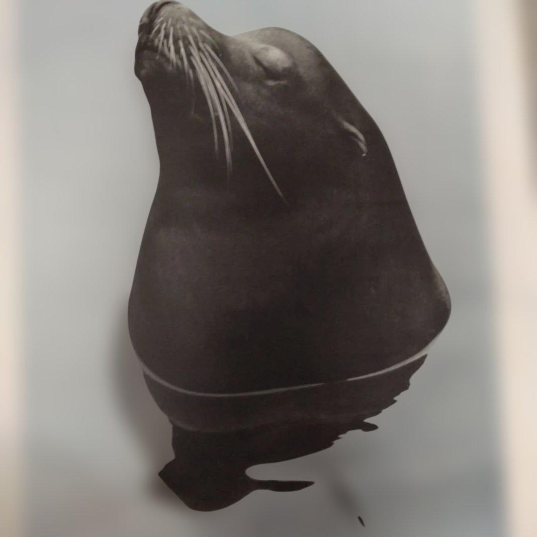 濱谷浩展 ポスター 写真体験60年