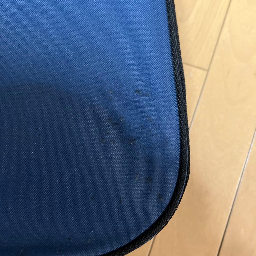 Hallstatt エレクトリックバイオリン ケース付き　CV-210E