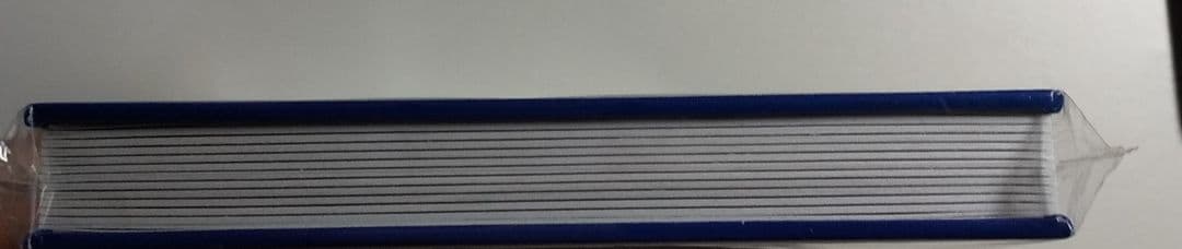 麒麟がくる 岐阜 大河ドラマ館 当選品 御城印帳 長野剛