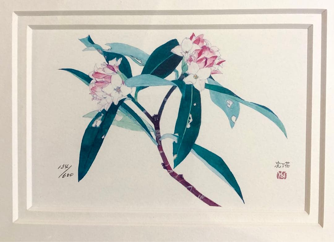 外山康雄  版画　その②  沈丁花