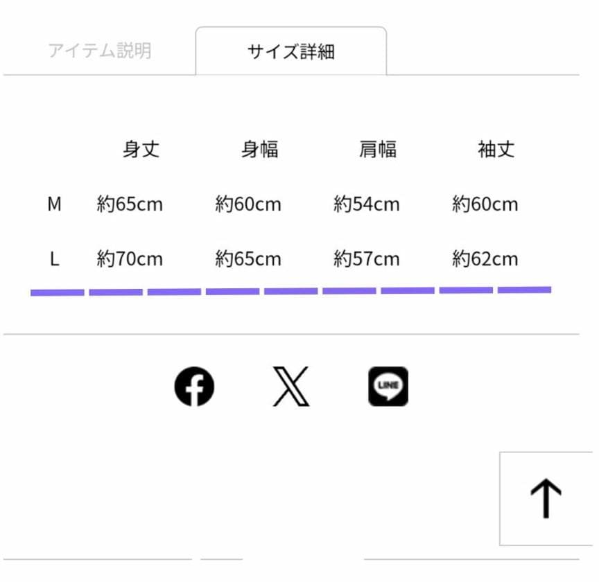 【新品】LDH LIVE EXPO Sweat FANTASTICS【Ｌ】