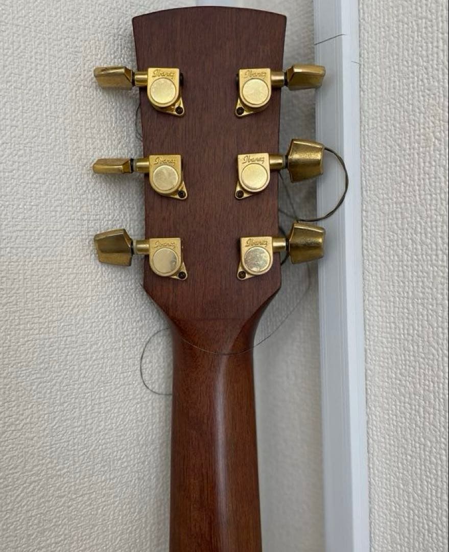 【E】Ibanez Art Wood RLGツリーオブライフインレイ ケース付き