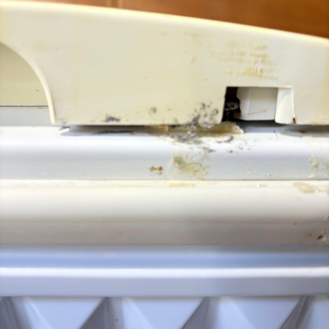 【福岡】エレクトロラックス 冷凍ストッカー 業務用 家庭用 105L 100V