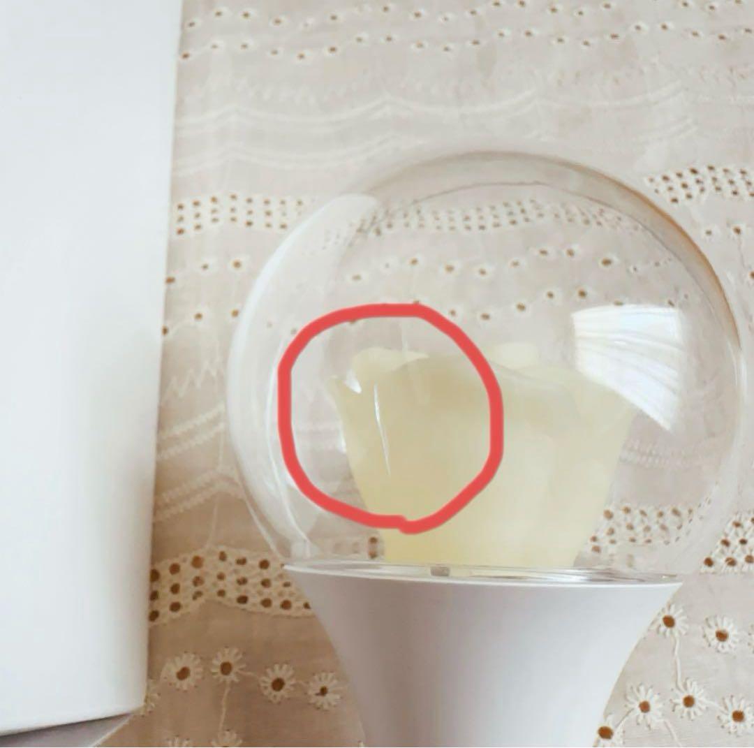 Ado 喜劇 ローズペンライト カムパネルラ