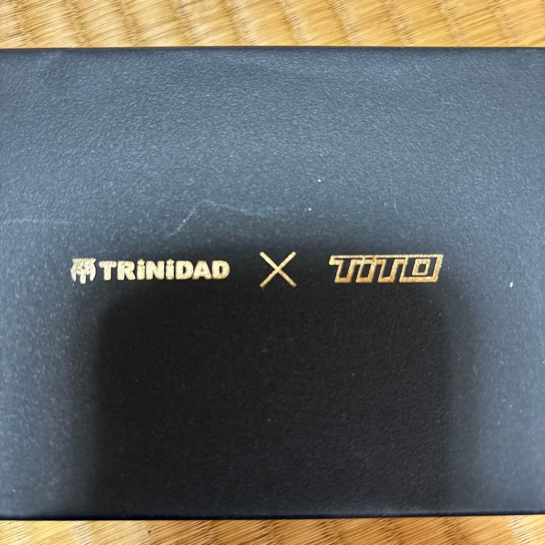【TiTO限定】TRiNiDAD Romero3 ST LIMITED 岩田夏海
