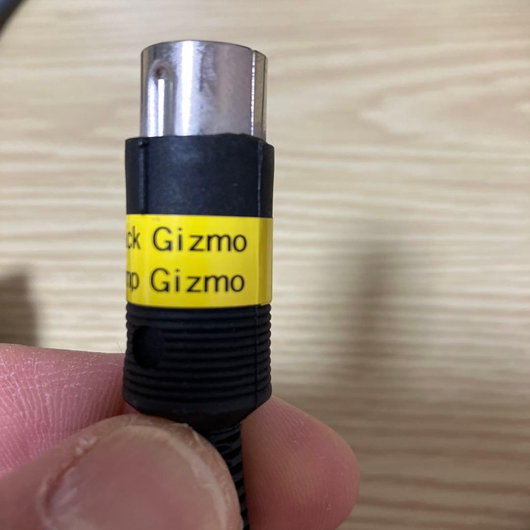 RJM AmpGizmo用のEgmater Tourmasterケーブル中古品