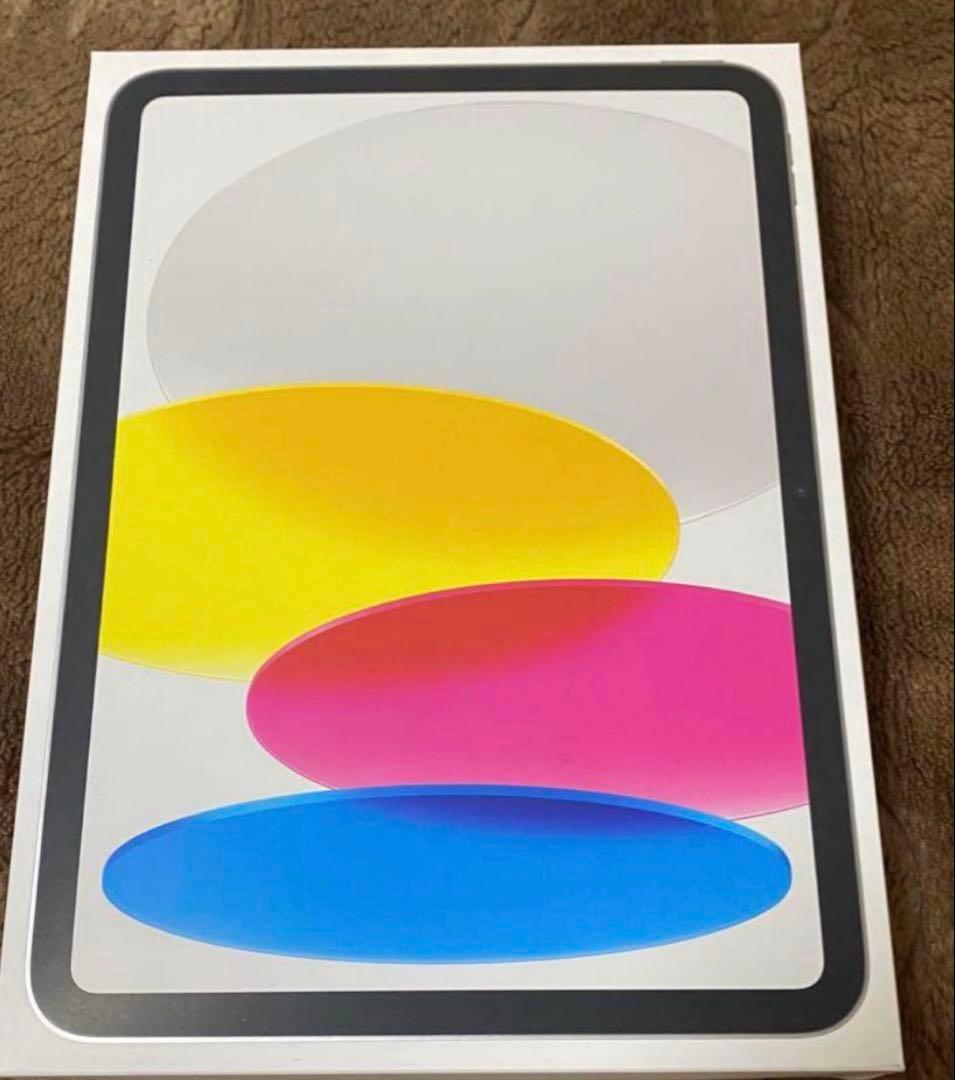 iPad Wi-Fiモデル 128GB ブルー　中古