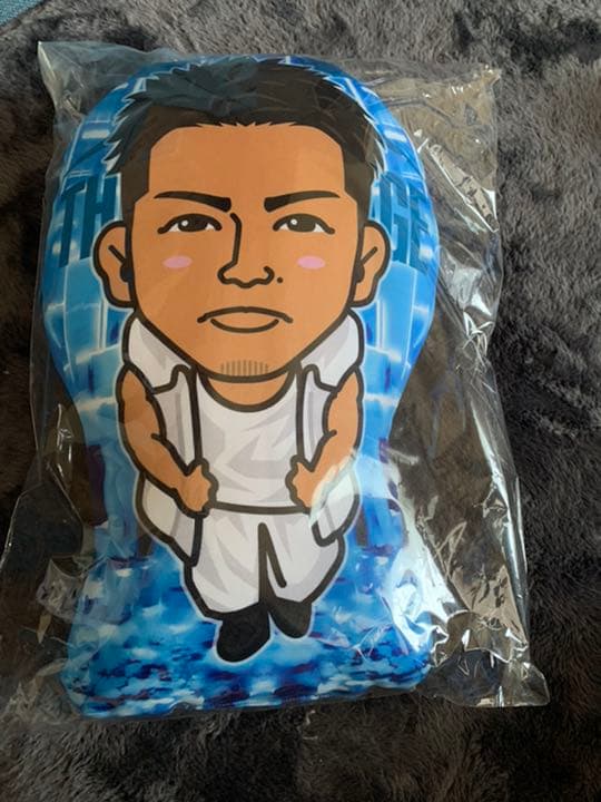 武知海青 クッション RMPG