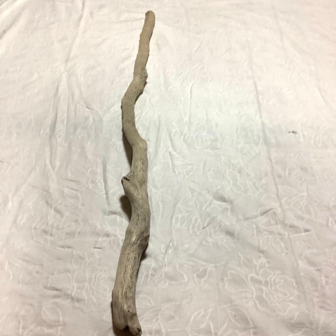 流木約80cm 艶あり美しい