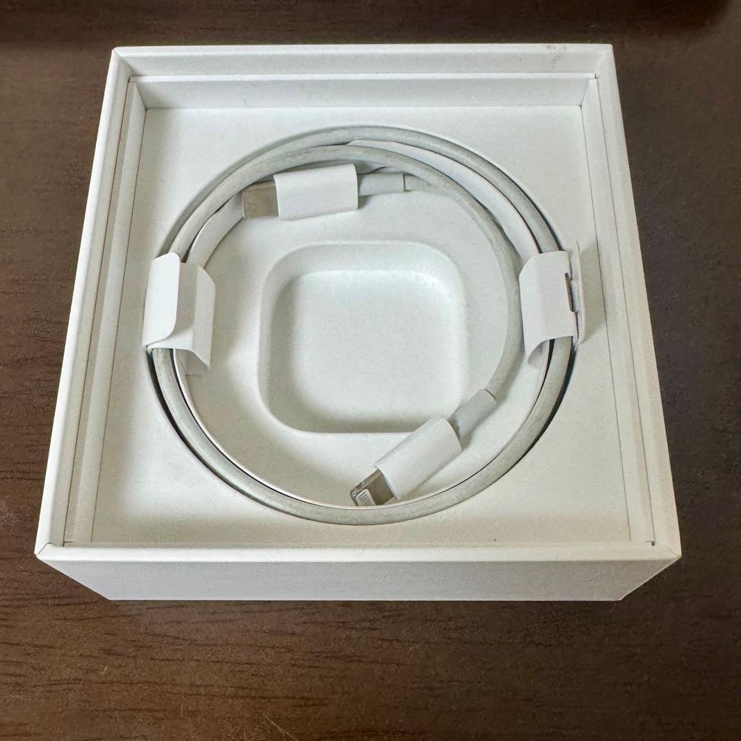 [Apple 純正品] AirPods Pro 第1世代 本体＋イヤーチップ