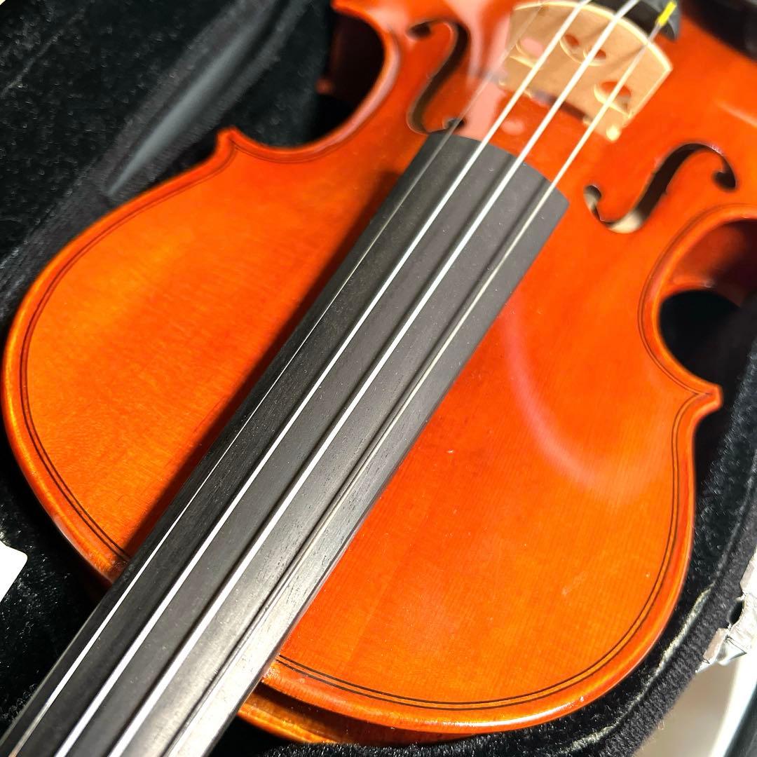 【極美品】Andreas Eastman VL80 1/2 イーストマン