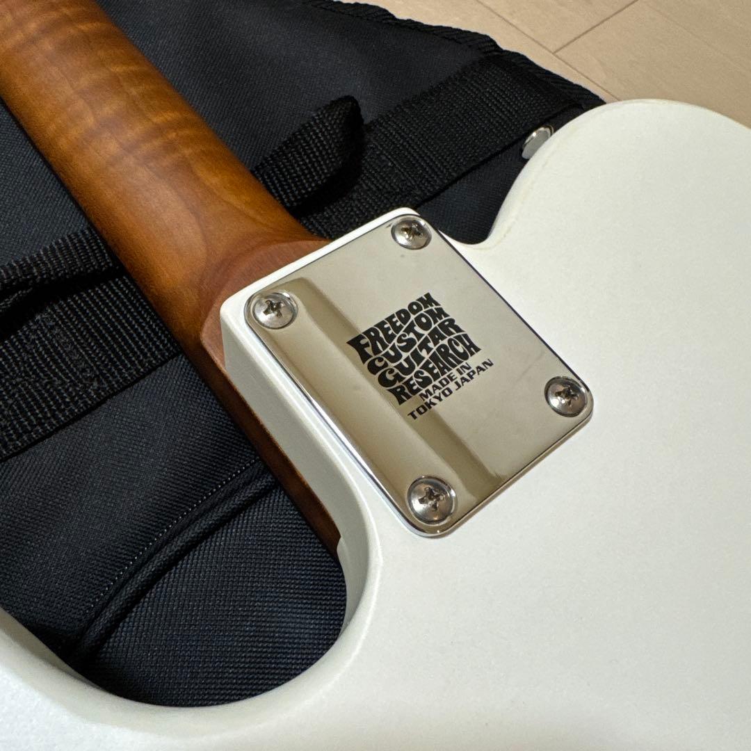 Bacchus テレキャスター 改造 Rio Grande搭載 時雨TK系