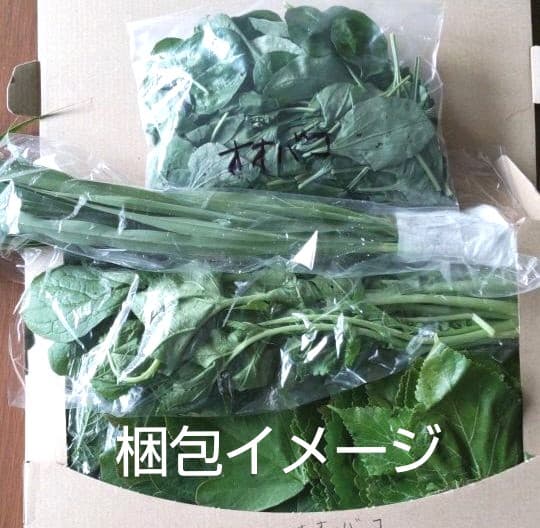 生葉/野草 ●セミオーダーページ● ウサギ ハムスター リクガメ モルモット 他