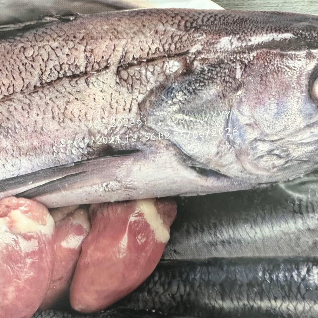 Orijen カナダ産 オリジン パピー 11.4K g プレミアムフード