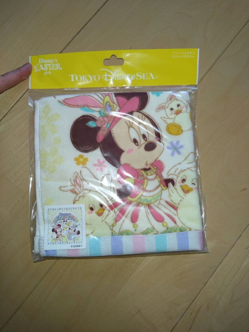 東京ディズニーリゾート タオル 10枚セット