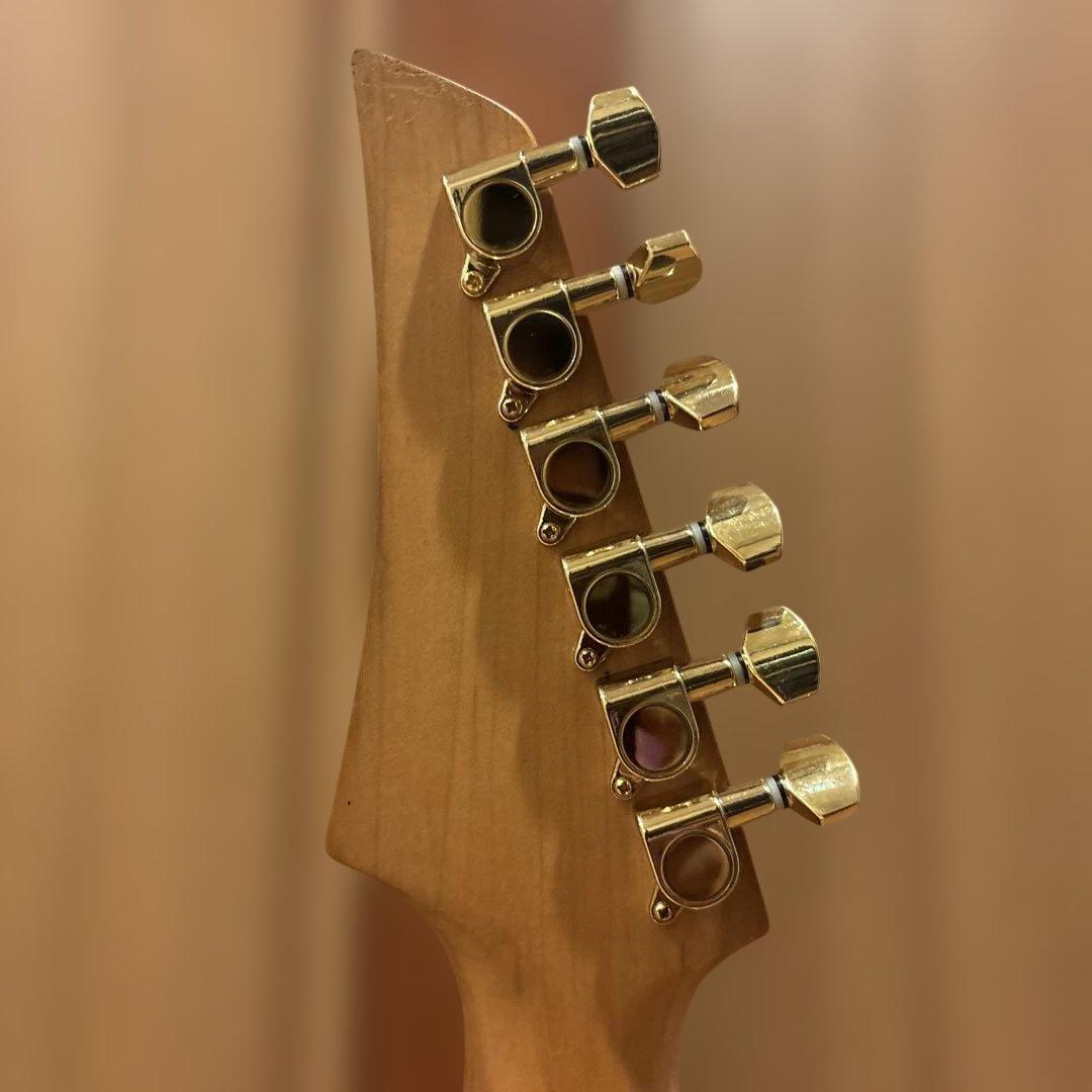 【初心者です】金ロゴ FERNANDES トレモロアーム付・新品弦張替済