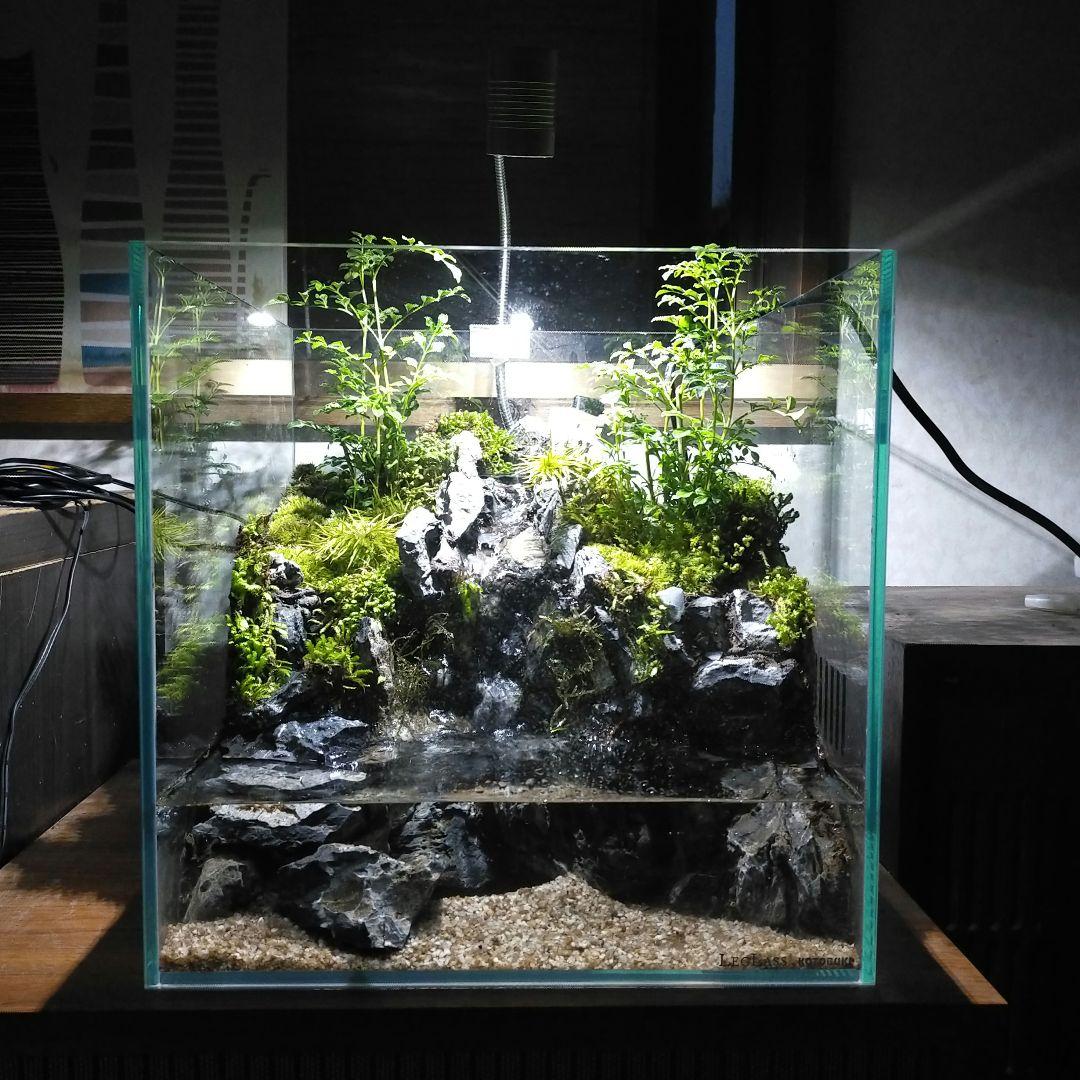 滝の流れるアクアテラリウム　水槽手前かけありの為お値下げしております。
