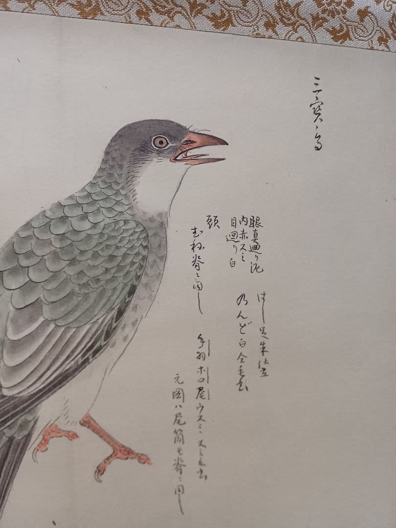 江戸屋の原画　掛け軸 　1265x540mm E818 三寳鳥　春木南溟