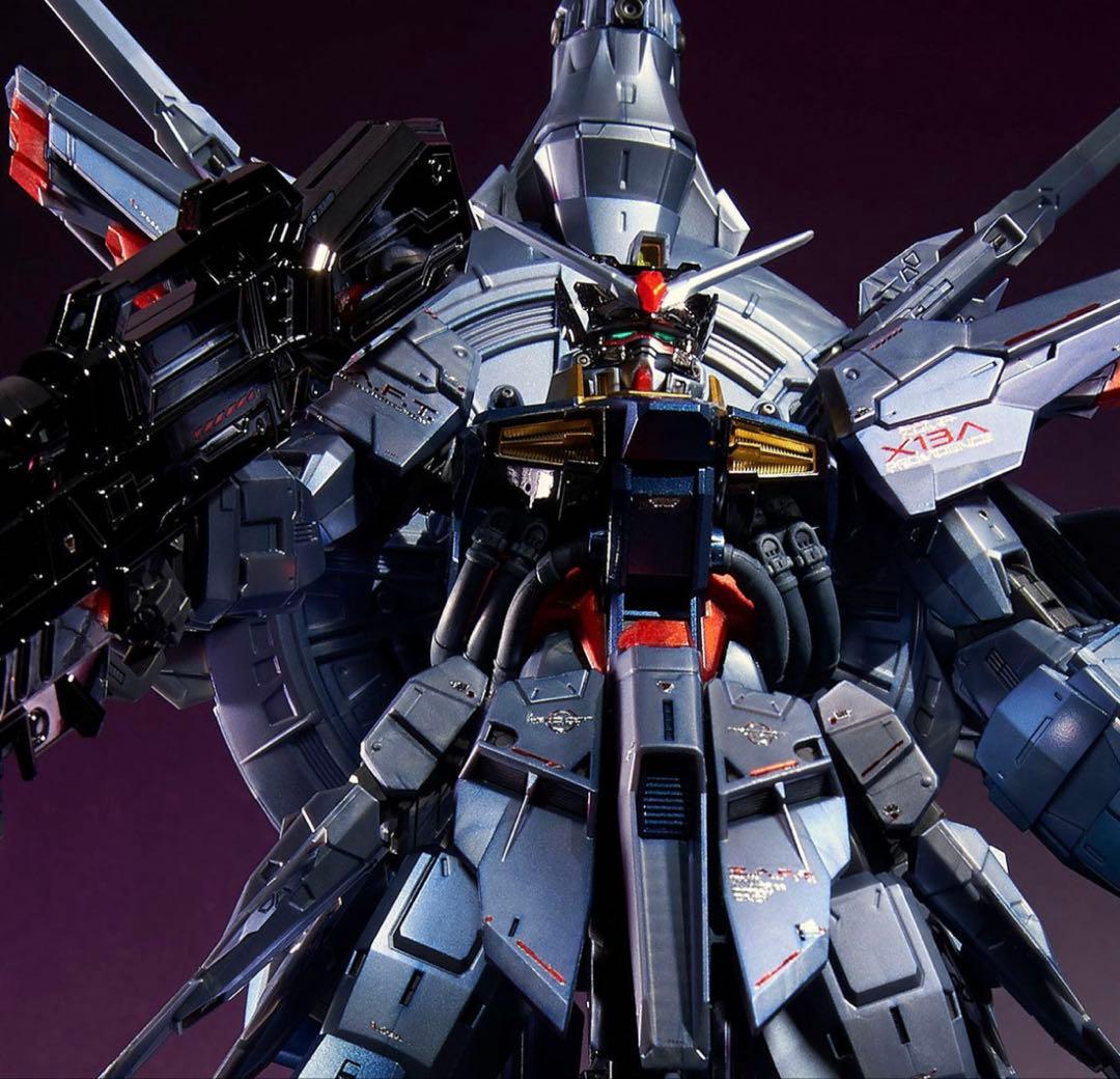 ＭＧ プロヴィデンスガンダム スペシャルコーティング