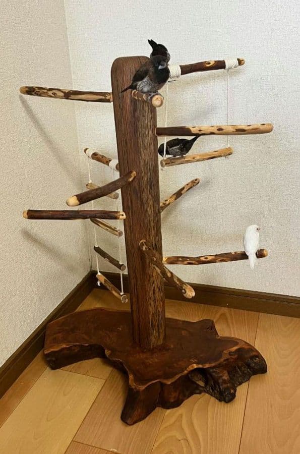 【中型鳥】ブランコ＆はしご付バードアスレチック♬