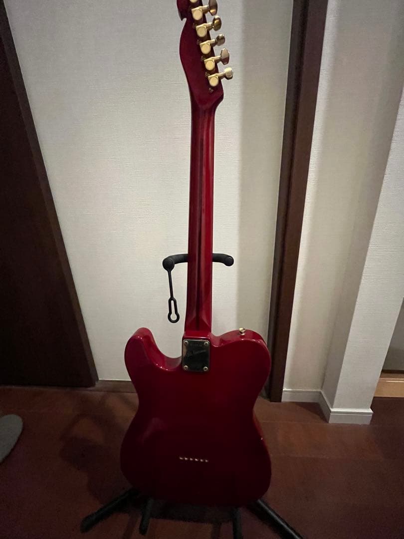 Bill Lawrence 奥居香モデル　テレキャスタイプ