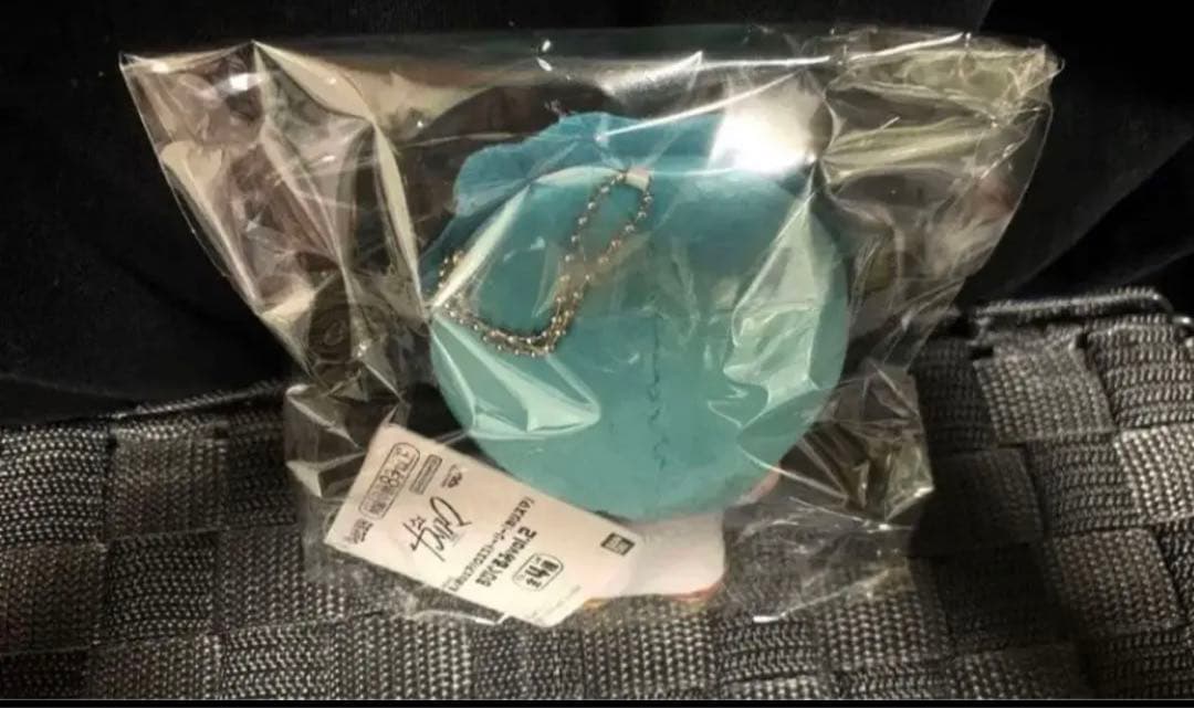 超人的シェアハウスストーリー ちびぐるみ ぬいぐるみ 湊大瀬 新品タグ付き