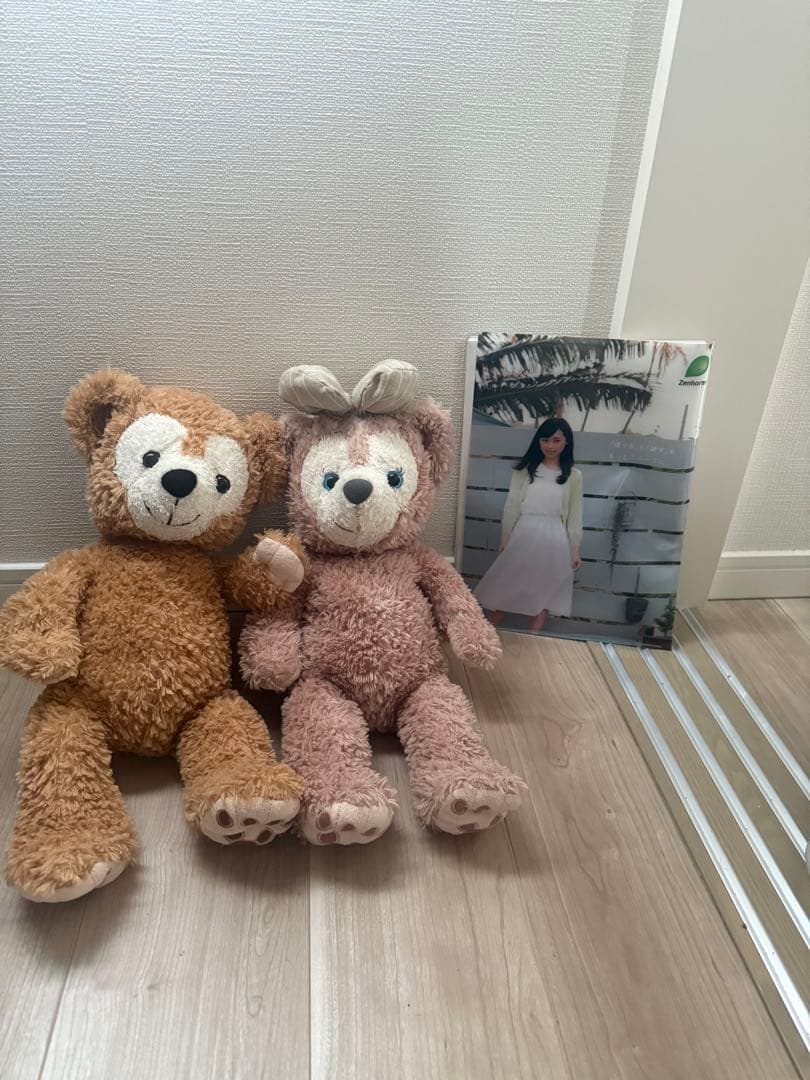 【超希少】ダッフィー•シェリーメイ　アミューズメント限定　12年前