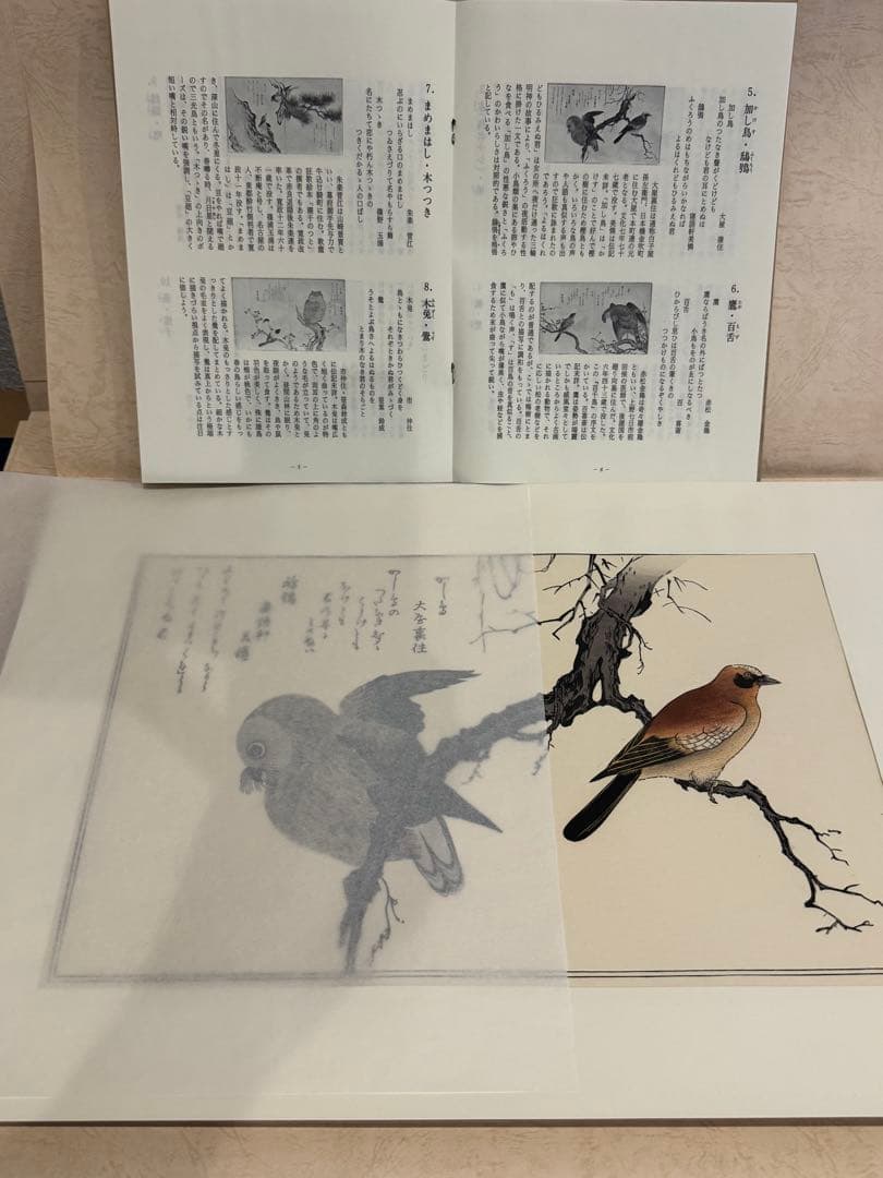 喜多川歌麿画 「絵本百千鳥」手摺木版画 計14枚 解説付