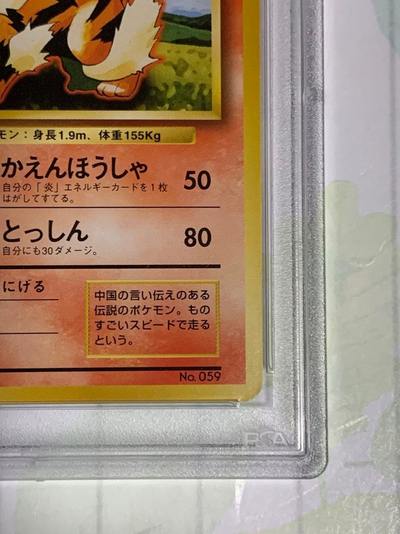 ウィンディ初版　旧裏　1996年　PSA8