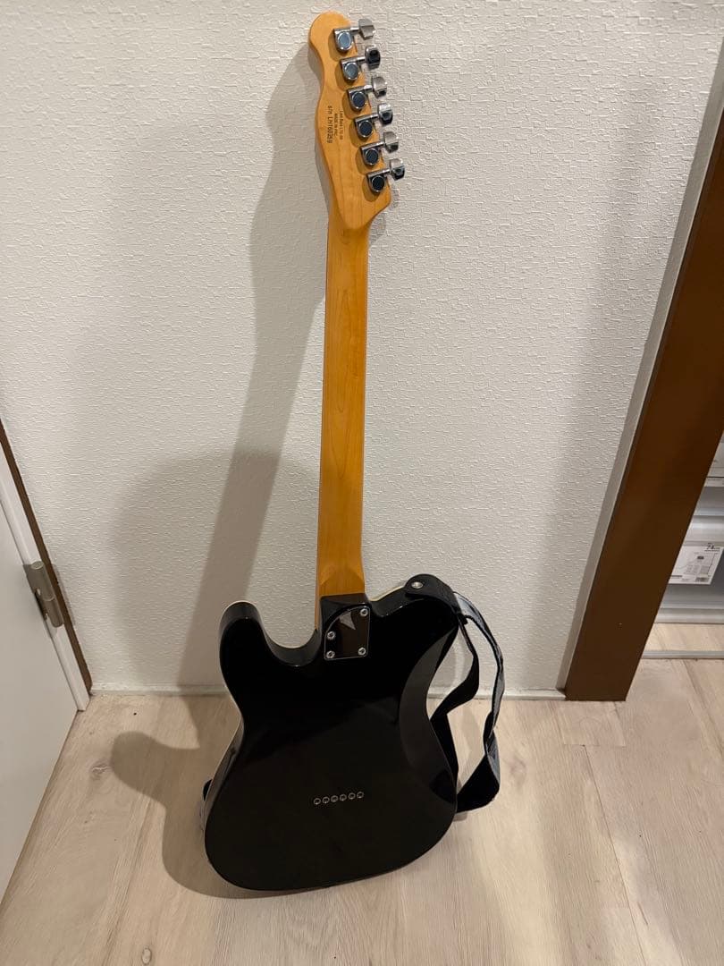 Laid back レイドバック　テレキャスター　LTE-5R