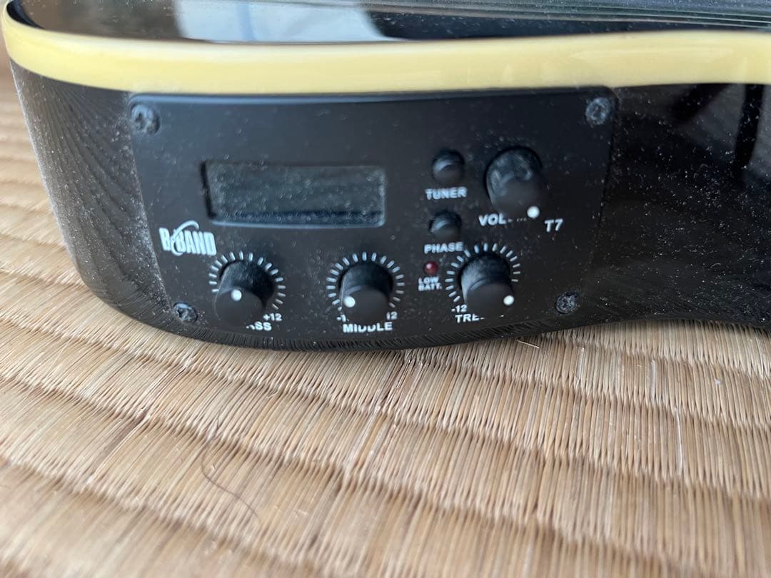 ESP Ltd TL-6N Black エレガット