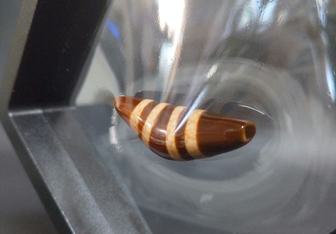 637天珠　上肯天珠　湾月　四線天珠　dzibeads！