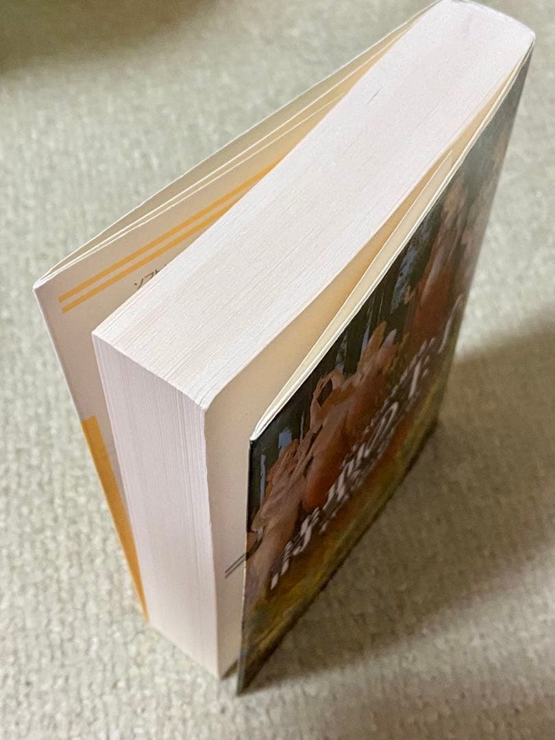 詩聖の王子 キャスリン・マゴーワン著