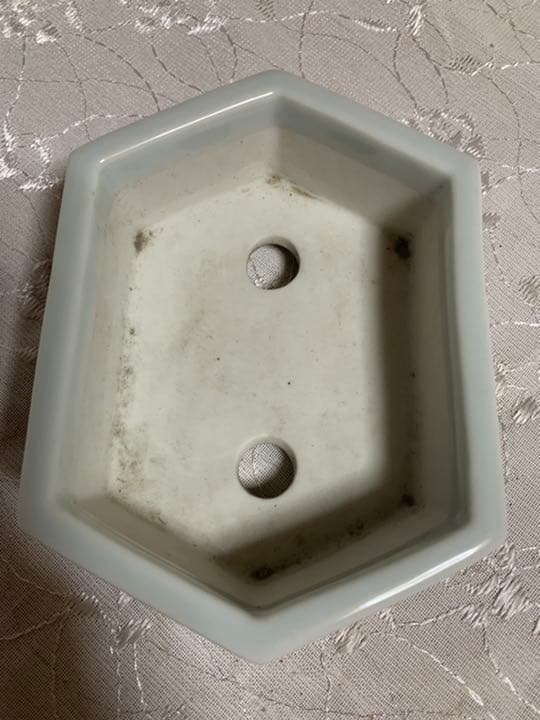 磯山　絵鉢　盆栽鉢