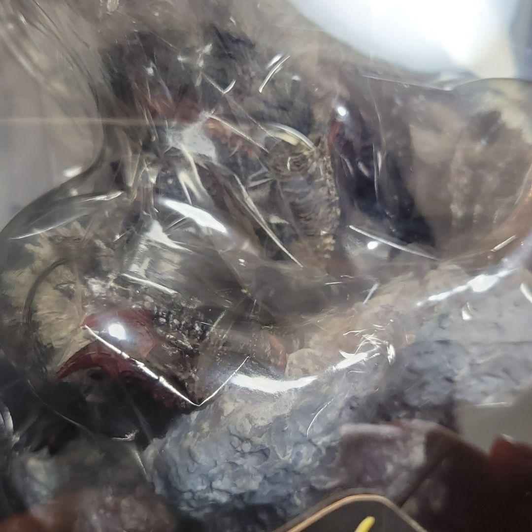 【未開封】フィギュアビルダー　クリエイターズモデル　獄狼竜ジンオウガ（亜種）