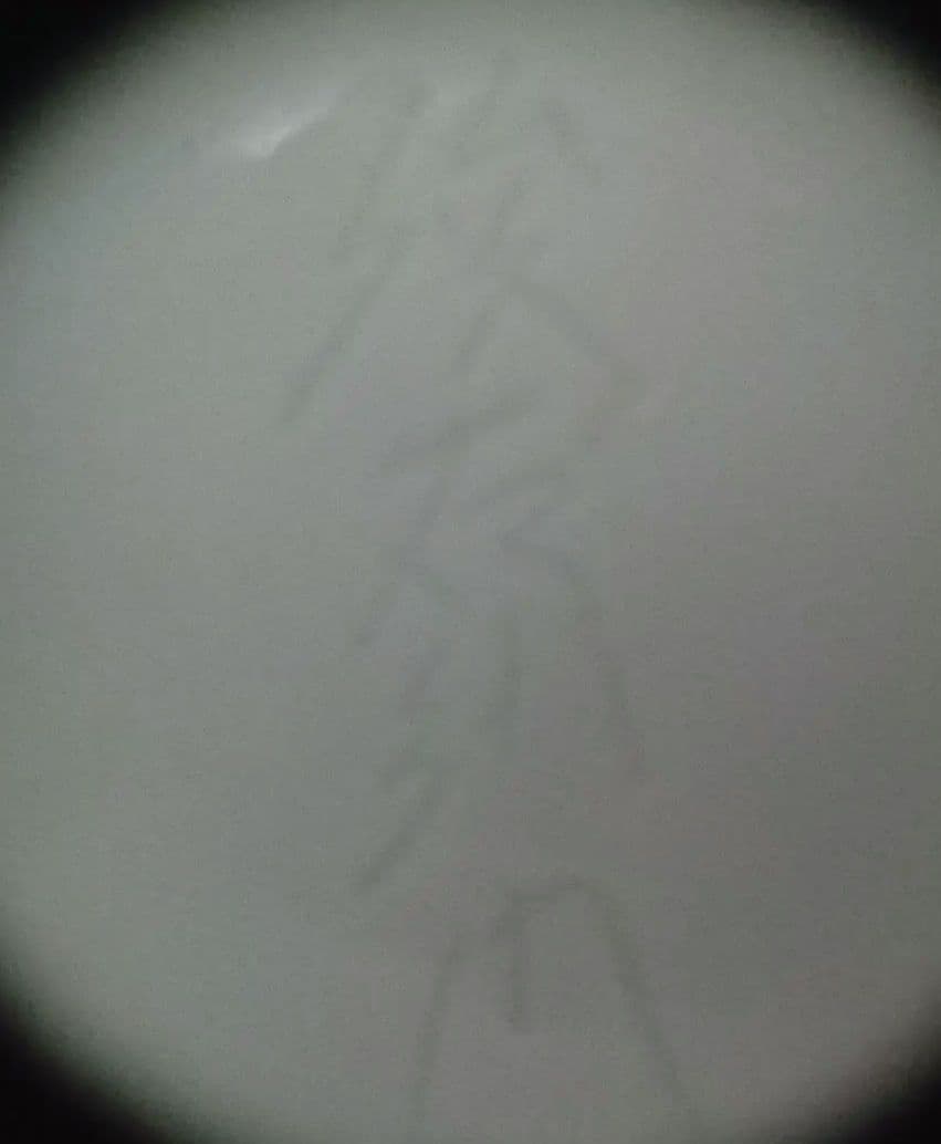 奥川俊右衛門の白磁ぐい呑み 色絵 花紋 二客セットです 桐箱付き