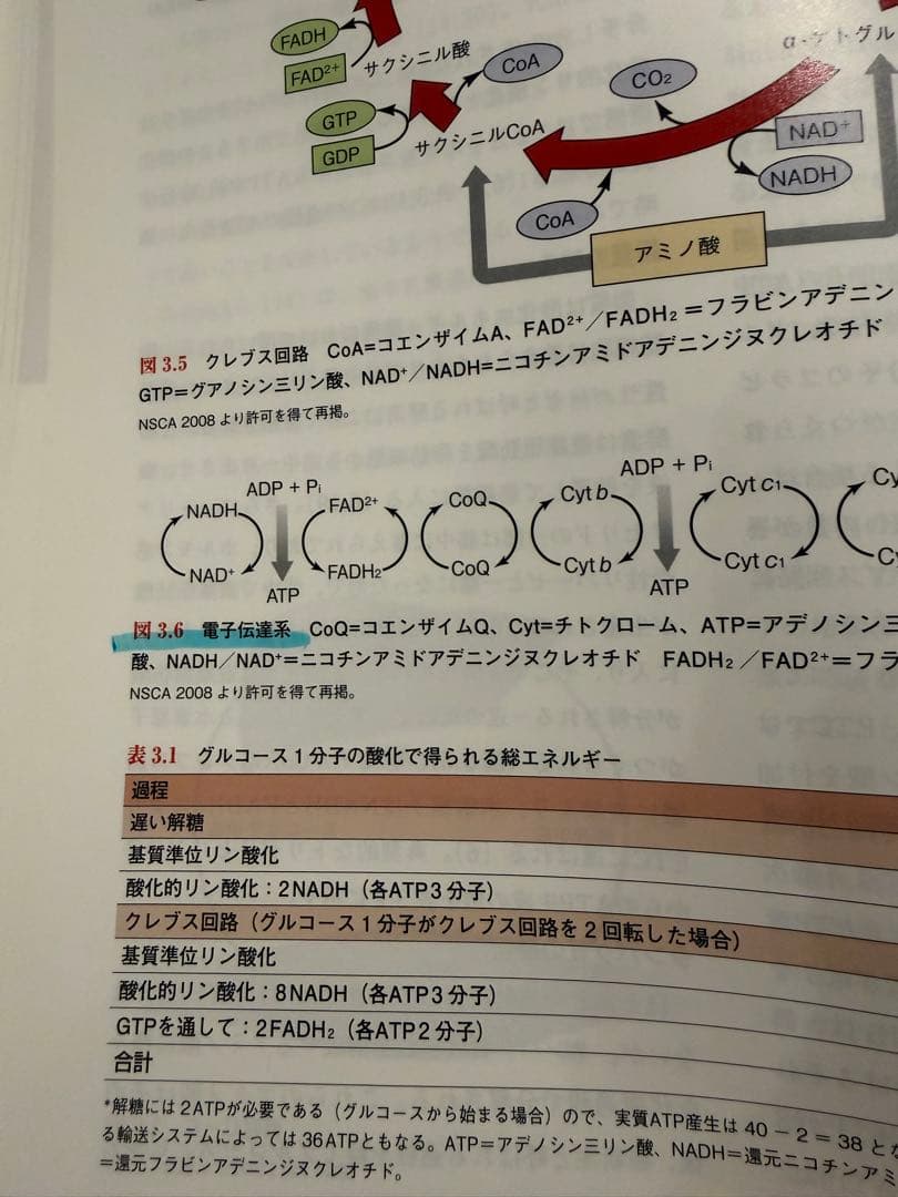 NSCAパーソナルトレーナーのための基礎知識 第2版