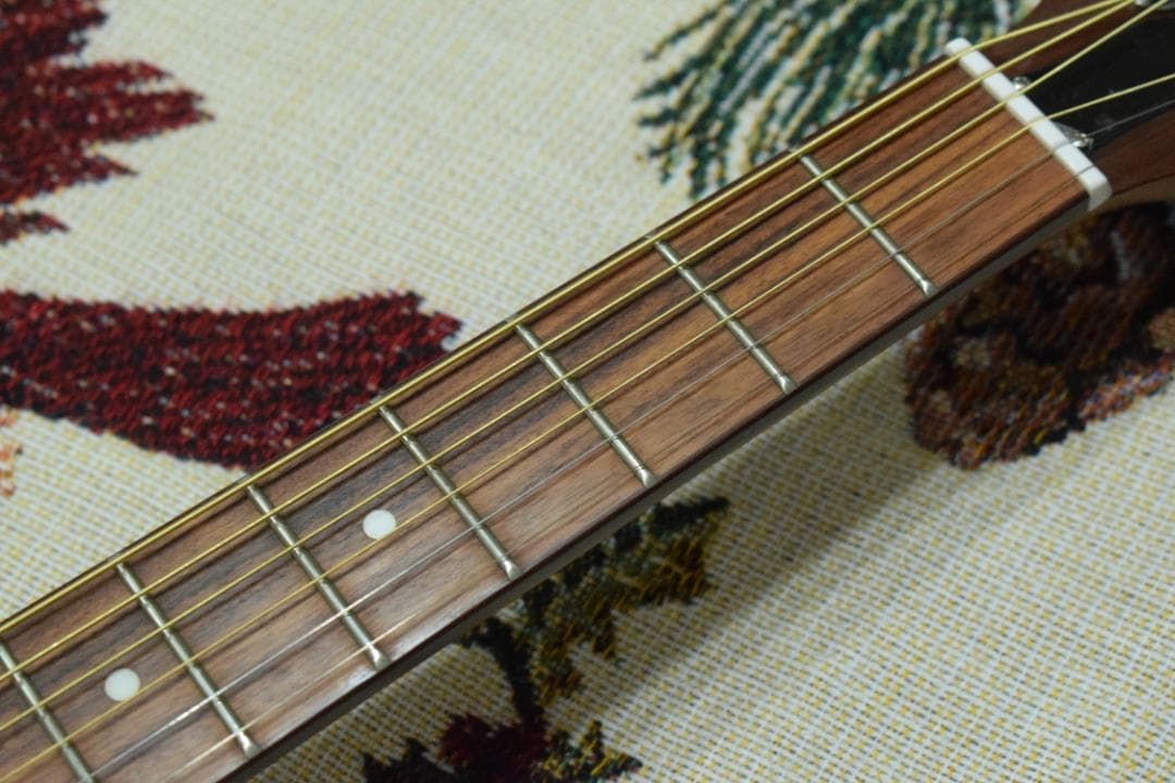 ギター Epiphone Dobro Hound Dog M-14 l Body