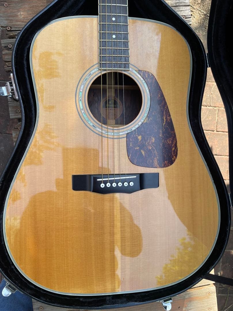 yu！！モーリスM-601アコースティックギターハカランダ材使用モデル