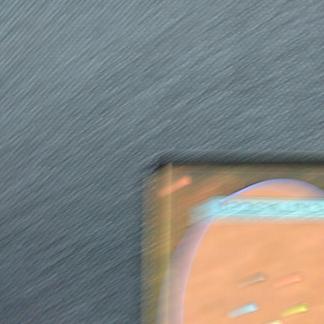 mtg 雨ざらしの旅人 日本語 foil