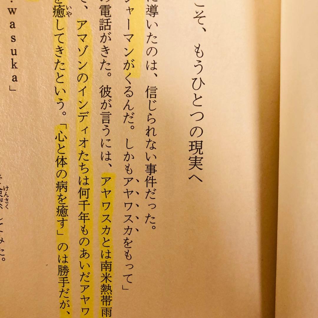 【-入手困難・初版-】アヤワスカ! 地上最強のドラッグを求めて　AKIRA