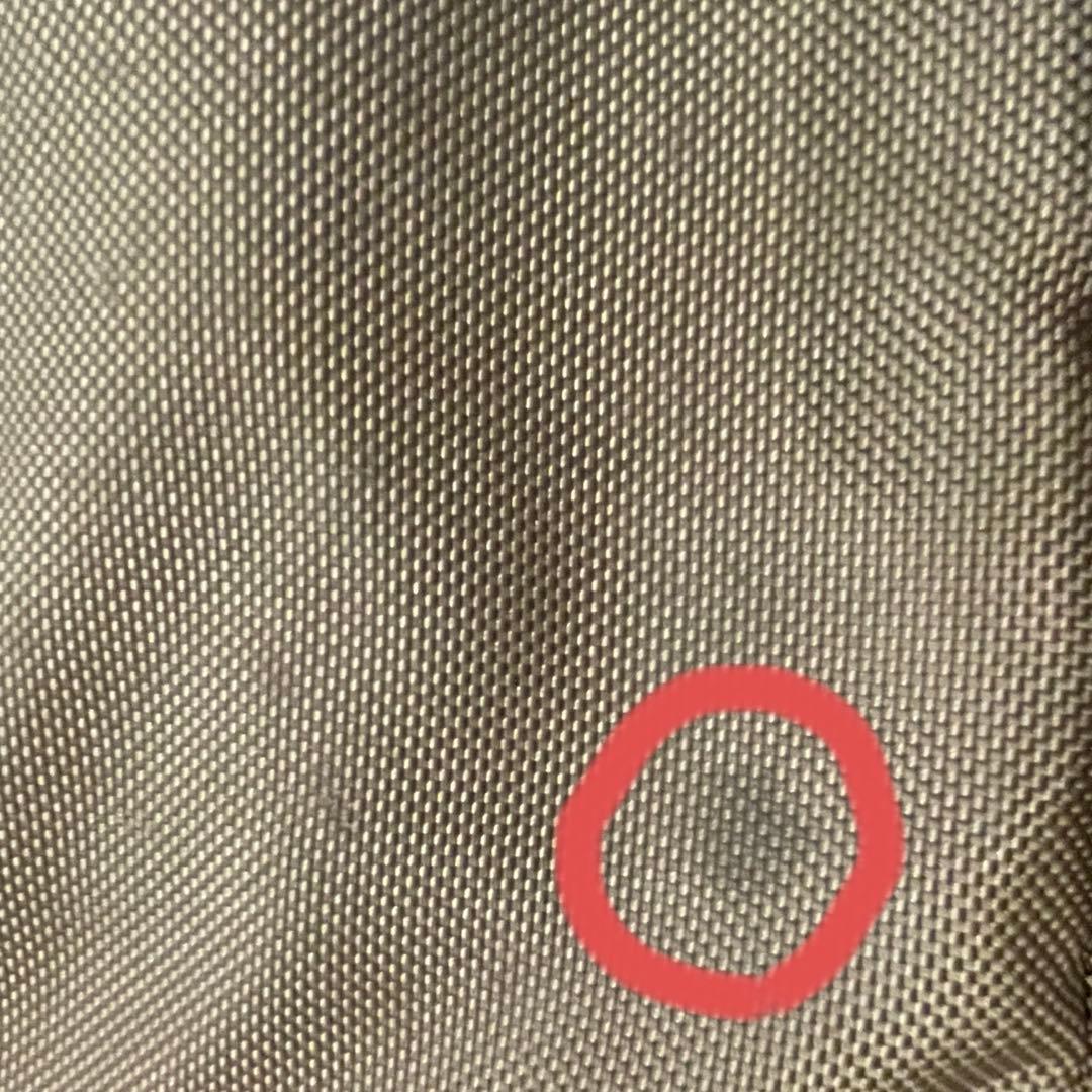 レア　廃盤品　patagonia パタゴニア　旅行用バッグ オリーブグリーン