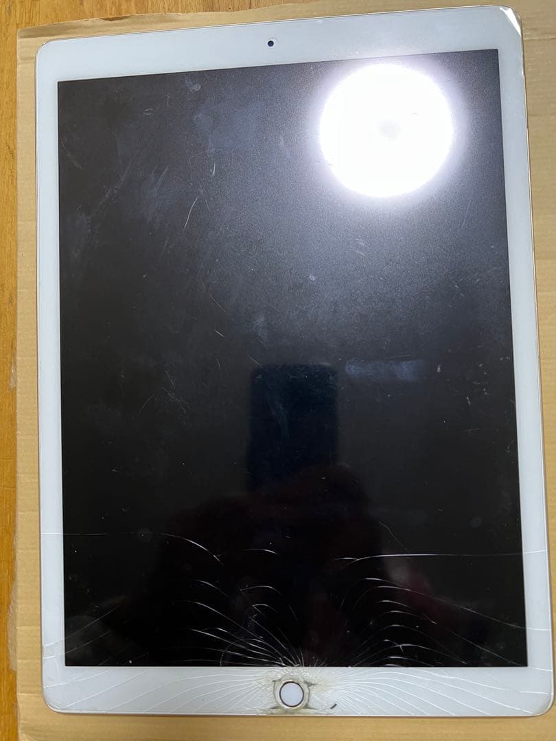 iPad Pro 12.9インチ　第二世代　ジャンク　おまけ付き