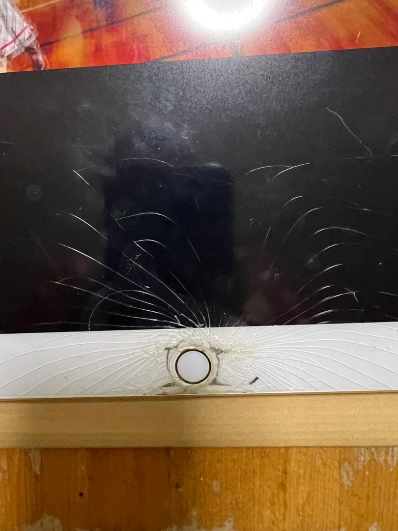 iPad Pro 12.9インチ　第二世代　ジャンク　おまけ付き