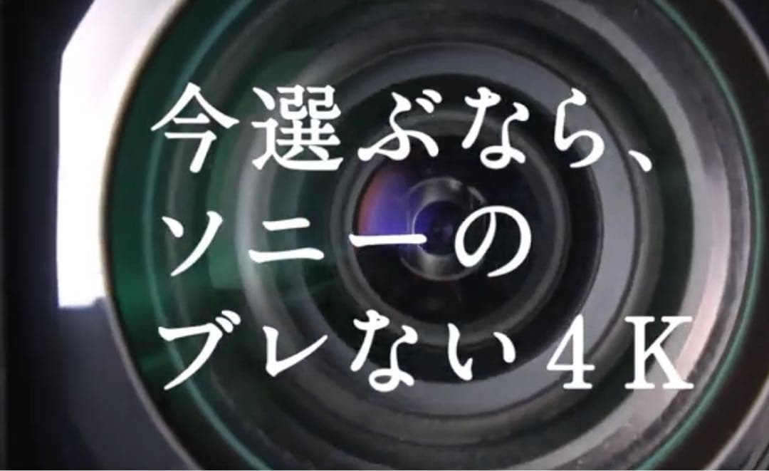 【新品】SONY FDR-AX45A 4K ビデオカメラ本体(ブロンズブラウン)