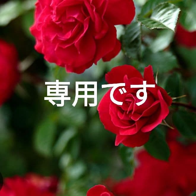 クンタローさま専用【日本限定　希少】折財布　バイカラー　緑×ヌメ　ミニマル