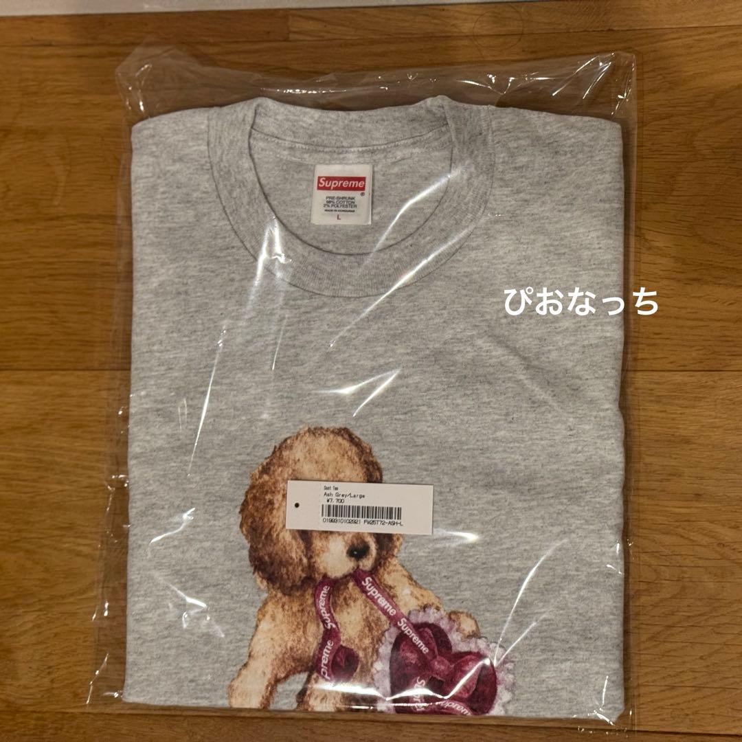 Supreme Dust Tee グレー Ｌサイズ